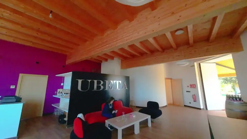 Bodega Ubeta